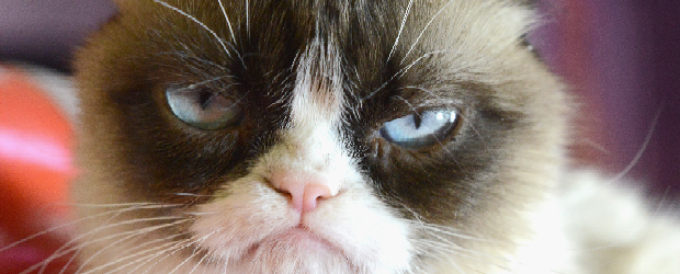 orokos-elegedetlenseg